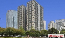 浦东金桥新闻爆料电话,揭秘城市脉搏，倾听民声心声